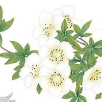 数字4和7为什么不好 四季聚财的吉利车牌数字