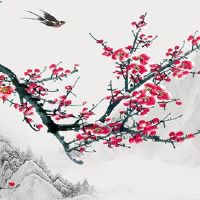 选了个带47的车号怎么办 车牌号码的风水吉凶