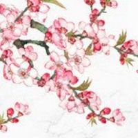 车牌号码打分查询 3个4车牌号到底要不要