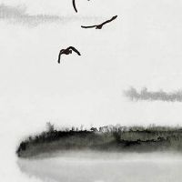 2022年6月29日出生的女宝宝是什么命理 运势发达 财运旺盛