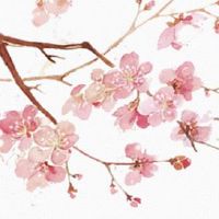 女人眉毛怎样才旺财 女性眉毛好坏的基本标准