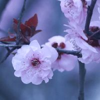 2022年7月26日提车好不好 农历六月二十七可以买新车吗