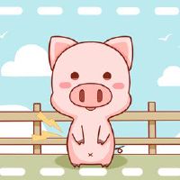 十二生肖猪2023幸福的事件，属于猪人