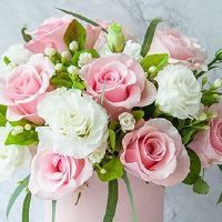 2022年6月6日芒种是订婚黄道吉日吗 今日黄历查询