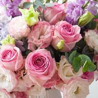 2022年6月9日订婚好不好 今日提亲大吉吗