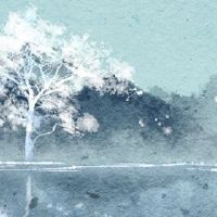 哪一天是十点精神的最佳日子？