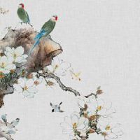 不能随便送别人本命年东西 本命年可以送雨伞吗