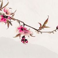 车牌号不好怎样化解 车牌号码含数字4的吉凶