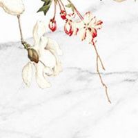 车牌四个数字好还是三个好 吉利坚韧的车牌号码