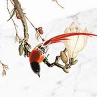 车牌号好不好查询 带来吉利命运的车牌号码