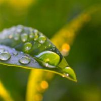 即使它是低的，我也无法隐藏令人眼花缭乱的锋利星座