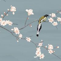 最准的克死丈夫的面相 面相圆润家庭和睦