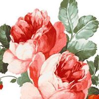 五行水木火的公司名字 最新版旺运企业取名大全