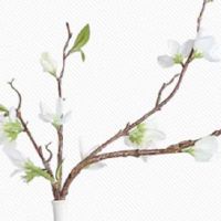 今日运势快报:2022年9月19日哪几个生肖为特吉生肖