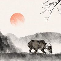 1997属牛一生事业运势 成也萧何败也萧何