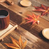 金·布尔（Jin Bull）的到来，12个星座