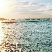 今年在2019年多大了。2019年龙多大了？