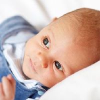 寅年度2022萧宇出生的男孩五行萤火虫