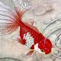 带财运的美甲店名字 高端时尚店铺名字