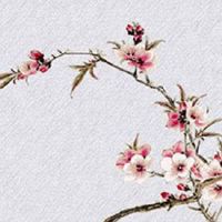 车牌风水解析及化解方法 理想车牌号码的吉凶