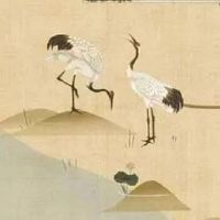 2022年7月1日出生属虎男孩命好不好 贵人扶持 运势上佳