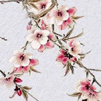 车牌号码444什么寓意 车牌号444吉凶意思说法