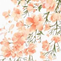 流年夫妻宫紫微化权 配偶适合当家做主