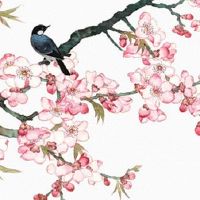 紫微天相女命 紫微星与天相星结合运势