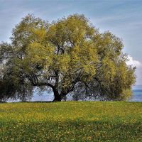 2022年4月21日不是黄道吉日本