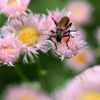 甚至是星座，所有这些都是“欺骗”！