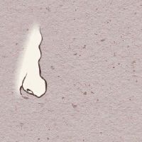 女脚鼹鼠阶段大全图形命运，丰富而昂贵