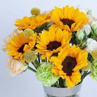 2022年6月27日是订婚黄道吉日吗 今日黄历查询