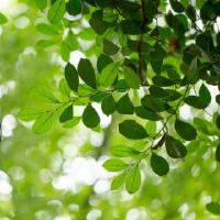 小舒不能做什么？小米节的海关和禁忌