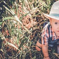 How did the birth baby belong to a Cancer double number in 2022?