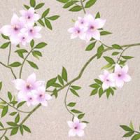 车牌吉祥号查询数字 车牌号444其实非常吉利