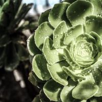 愿意与您一起陪伴您的三个星座，永远不要离开您，必须珍惜您。