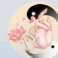 胆晶印的女性生活的职业生涯是什么？