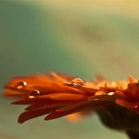 Pandora占星术小黎州一周星座（4.22-4.28）