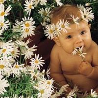 美到极致的女孩子名字