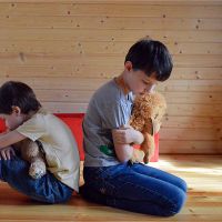 梦想让你的兄弟？