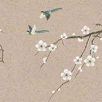 旺夫脸的女人面相图 鼻梁高低为财运关键