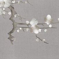 女人面相分析:四种脸型最旺夫 方脸女子旺夫