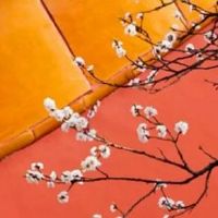 98年属虎人一生佩戴什么好 金饰佩戴运势佳