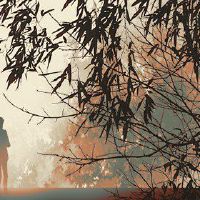 感情的感觉，如果你不愿意离婚，有什么条件需要强迫离婚