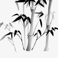 2022年9月11日五行穿衣指南最佳幸运色解析