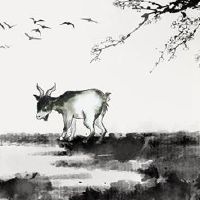 黄道十二羊和黄道带蛇不是亲自