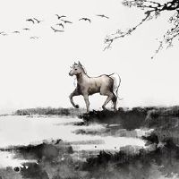 三个属不能戴金，什么是黄道带？