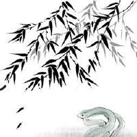 十二生肖牛肉和十二生肖是否适合它？