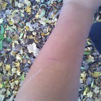 梦想被分支机构削减