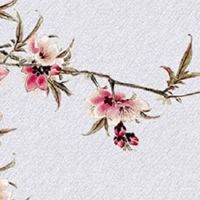 两个4的车牌号好不好 44这个数字在风水上招财